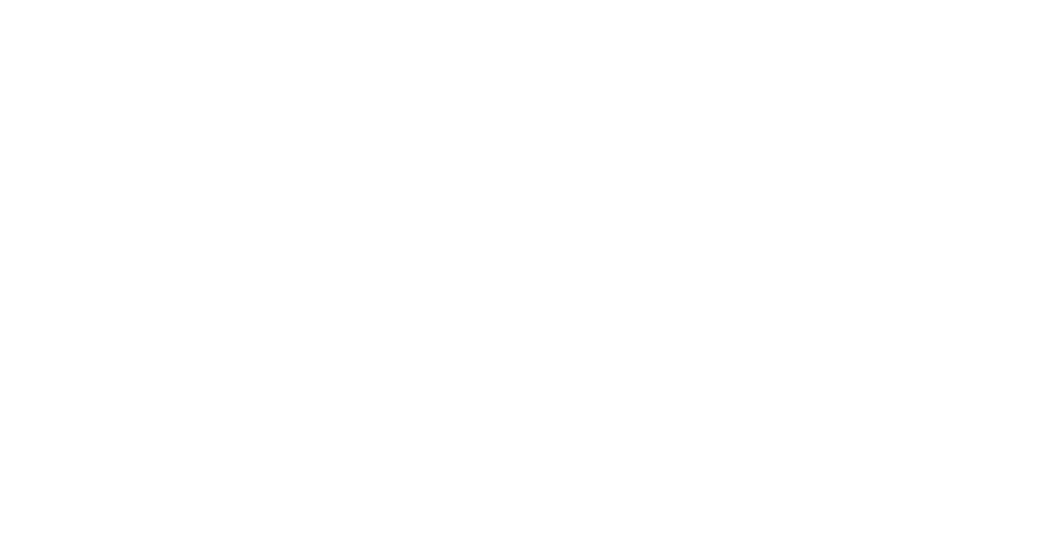 Stein Sperling Logo White