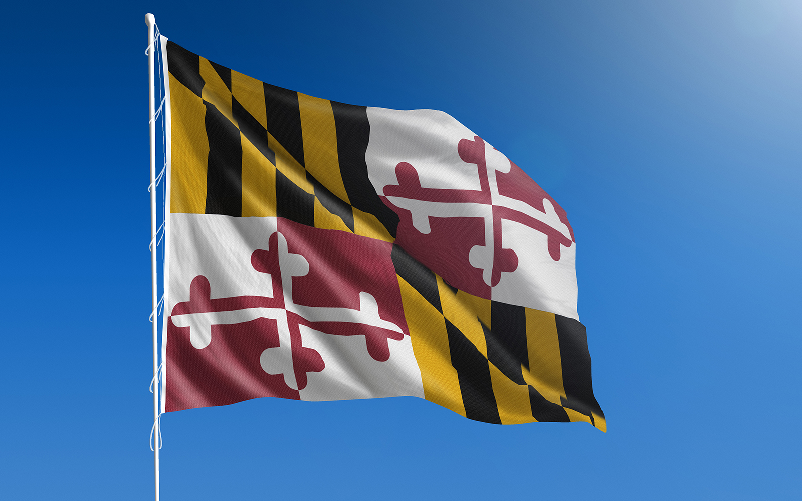 US state flag of Maryland