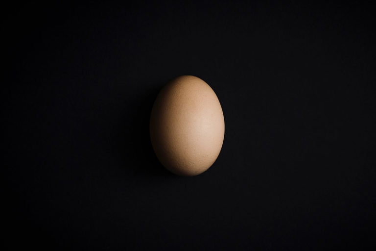 Eggshell Audit